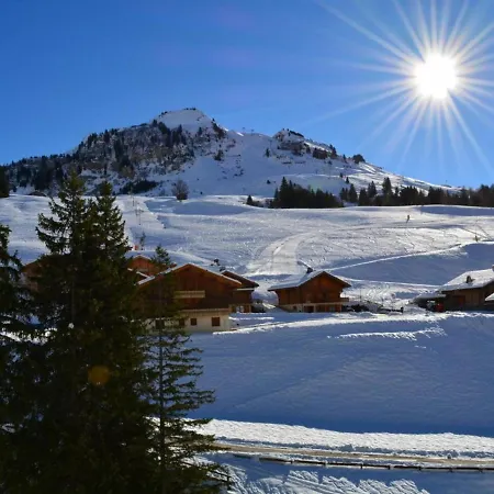 Appt 2 Pieces, 6 Pers, Proche Pistes, Parking, Animaux Admis - Fr-1-241-16 * Le Grand-Bornand